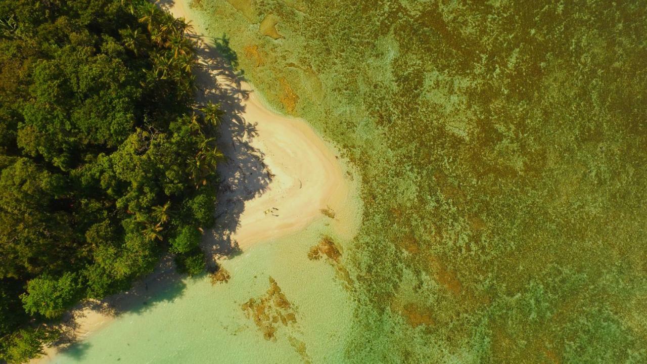 Lilan Nature, Modern House N°1, Private Swimming Pool. Cahuita Exteriör bild