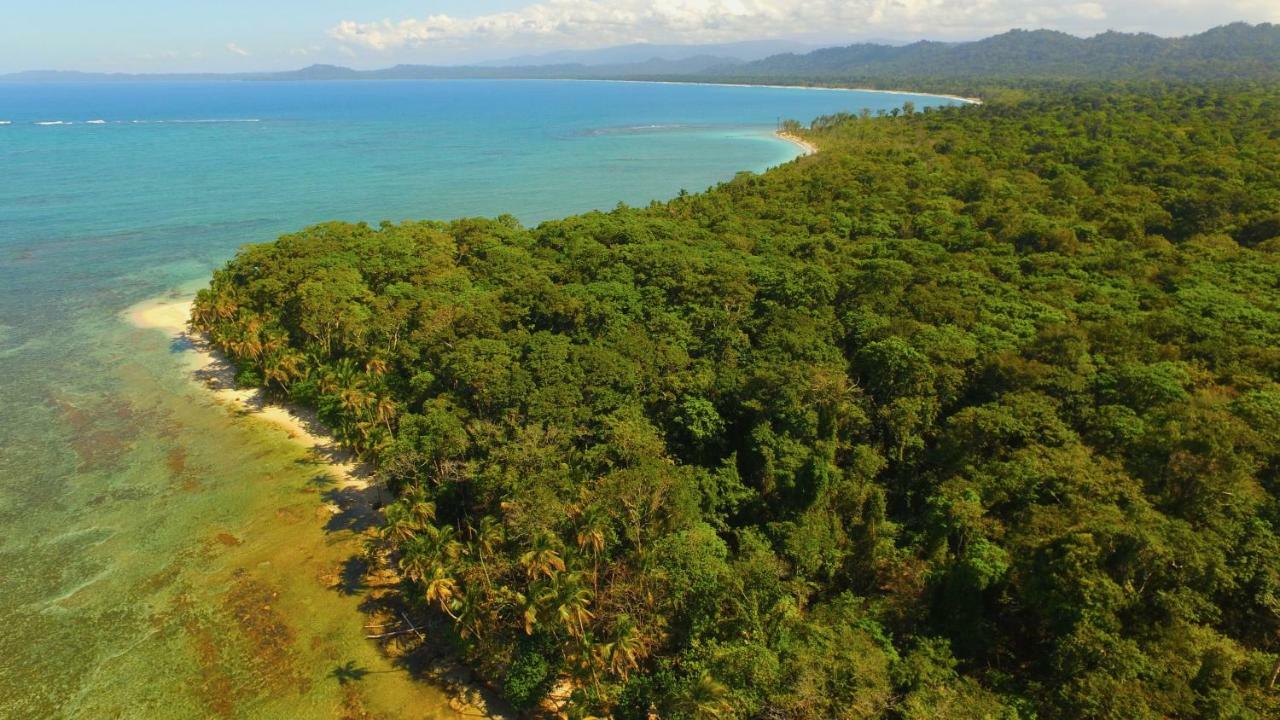 Lilan Nature, Modern House N°1, Private Swimming Pool. Cahuita Exteriör bild
